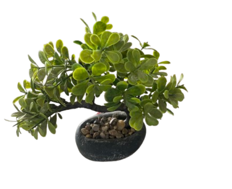 Bonsai-style plant decor