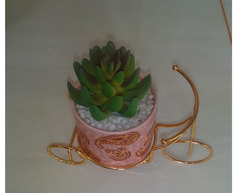 Trio cycle bloom plant decor